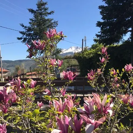 Magnolia Chalet *